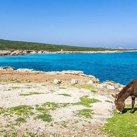 Castle Karpasia An Authentic Rizokarpaso