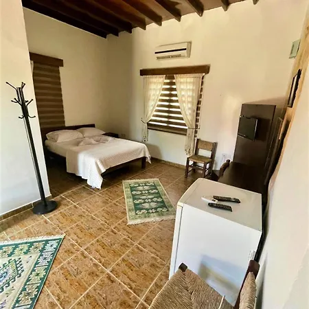 게스트하우스 Castle Karpasia An Authentic